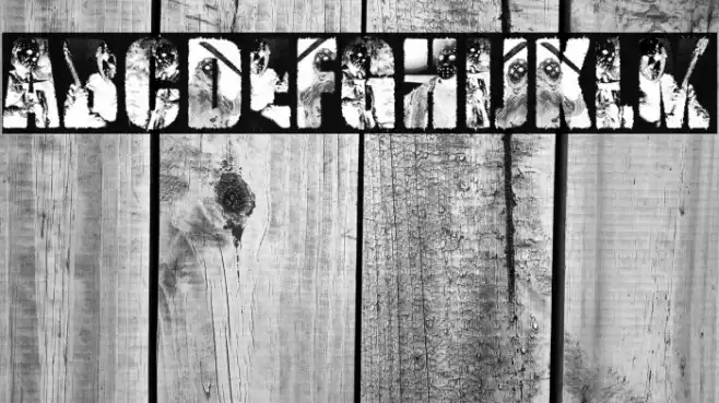 JASON PERSONAL USE Bold Font examples