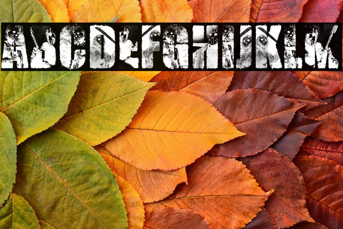 JASON PERSONAL USE Bold Example 3