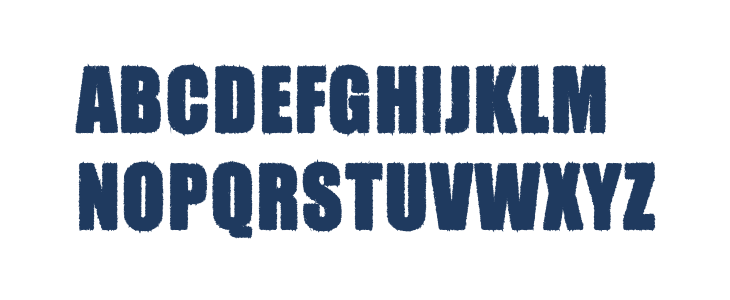 JASON PERSONAL USE Bold Lowercase