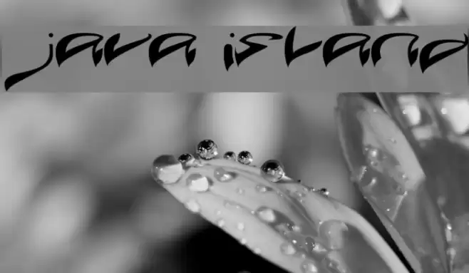 JAVA ISLAND Font examples