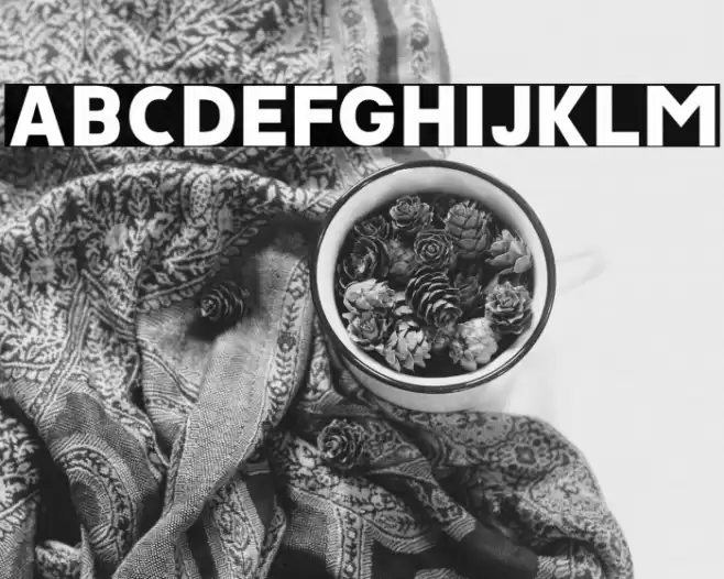 JAVATA Font examples