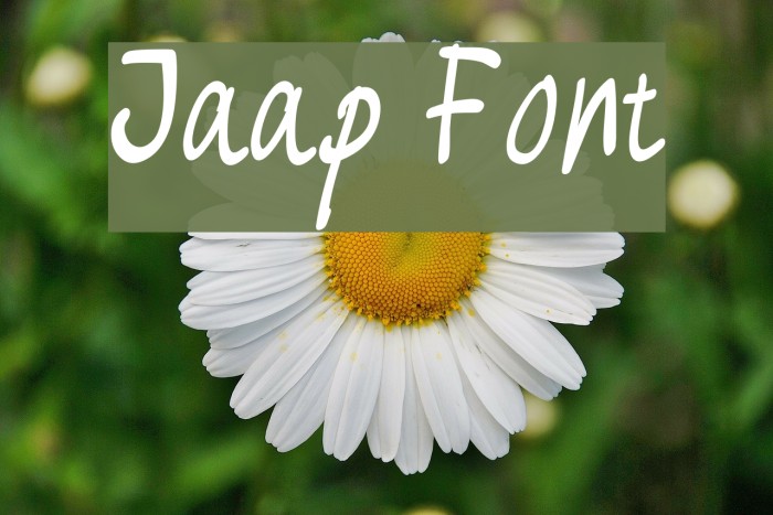Jaap Example 2