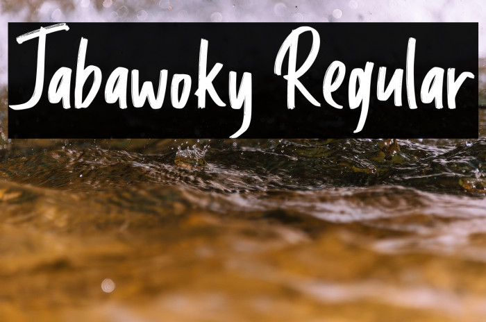 Jabawoky Regular Example 1