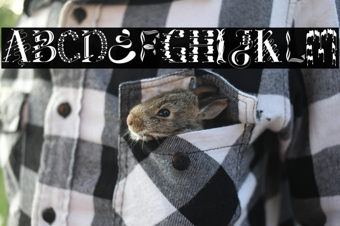 Jabberz Display Demo Regular Example 2