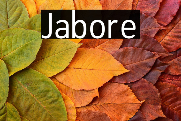 Jabore Example 1