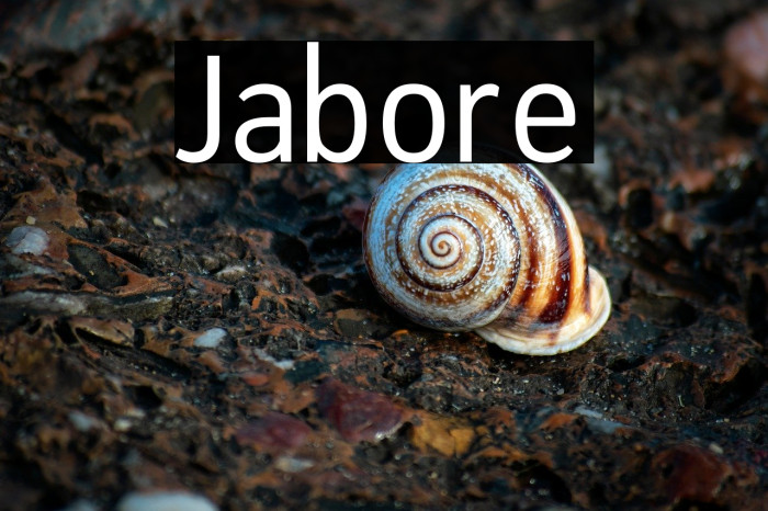 Jabore Example 2