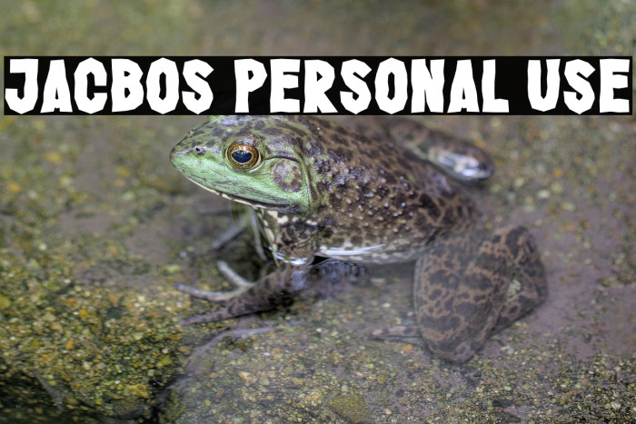 Jacbos Personal Use Example 1