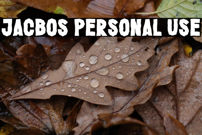 Jacbos Personal Use Example 2