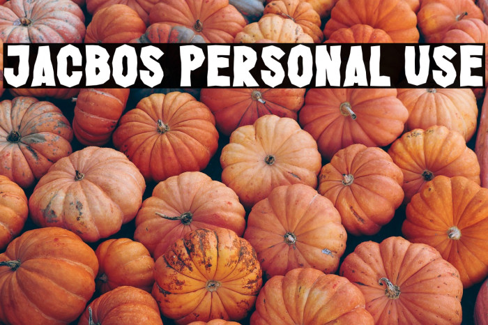 Jacbos Personal Use Example 3