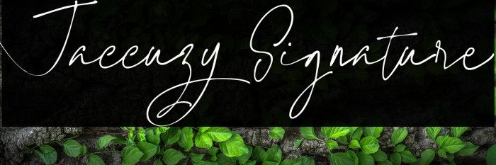 Jaccuzy Signature Example 1