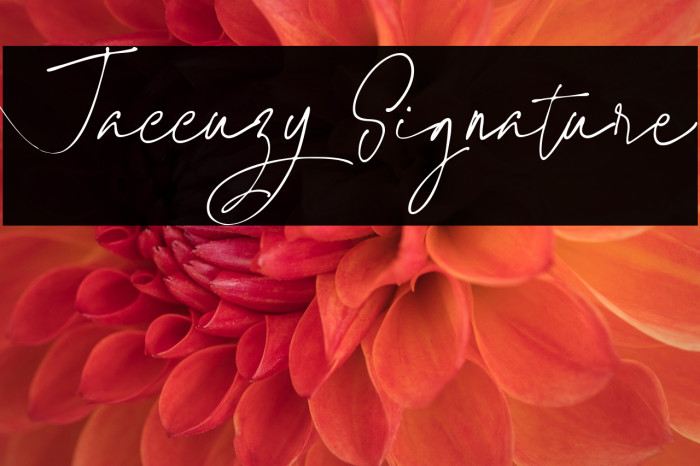 Jaccuzy Signature Example 2