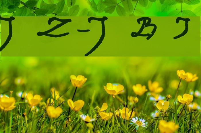 Jacek Zieba-Jasinski Bold Italic Example 1