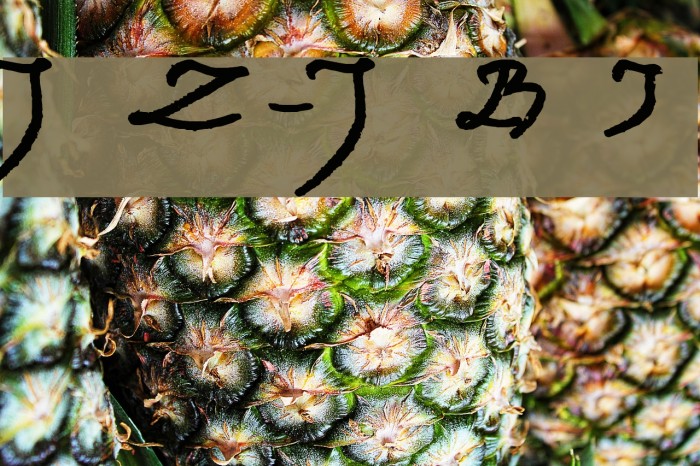 Jacek Zieba-Jasinski Bold Italic Example 3