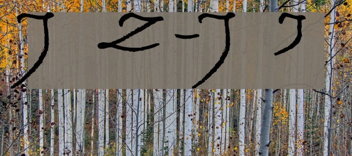 Jacek Zieba-Jasinski Italic Example 2