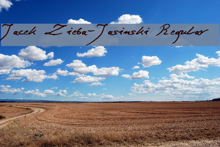Jacek Zieba-Jasinski Regular Font examples