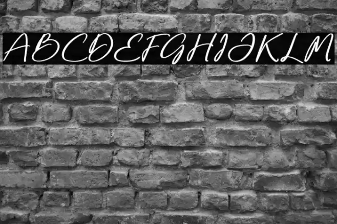 Jacielle Olievera Polices examples