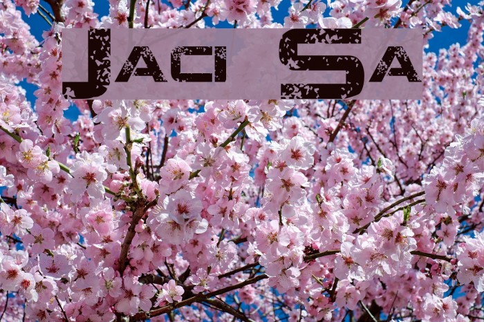 Jacinto Sans Font examples