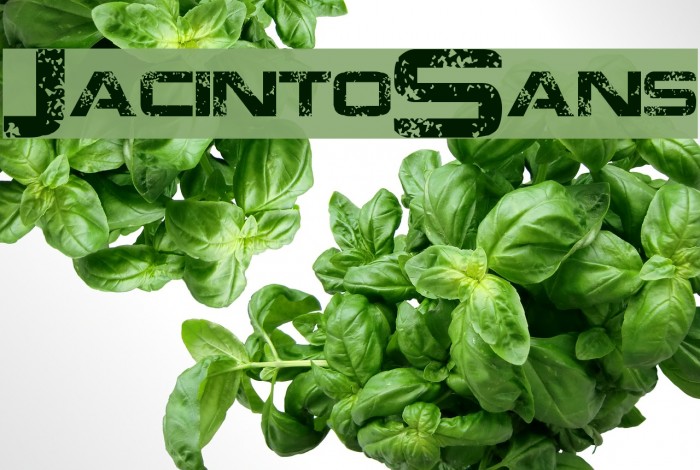 JacintoSans Font examples