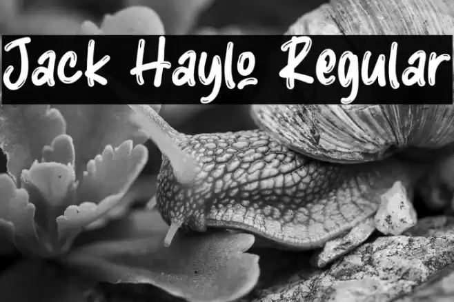 Jack Haylo Regular Font examples