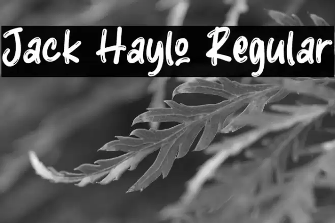 Jack Haylo Regular Font examples