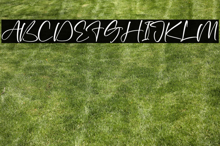 Jack Masson Example 1