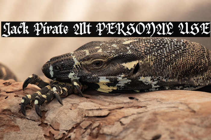 Jack Pirate Alt PERSONAL USE Example 2