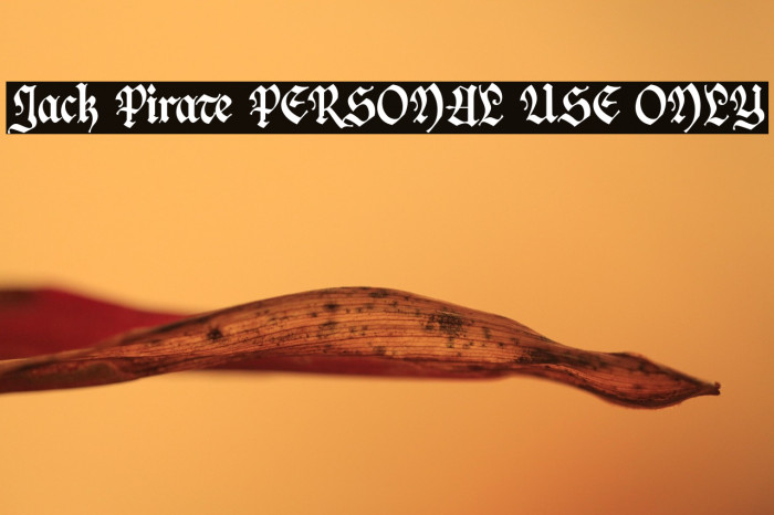 Jack Pirate PERSONAL USE ONLY Example 1