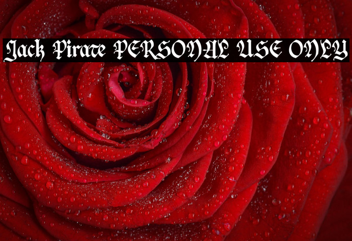 Jack Pirate PERSONAL USE ONLY Example 2