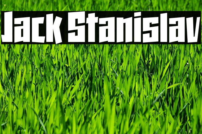 Jack Stanislav Font examples