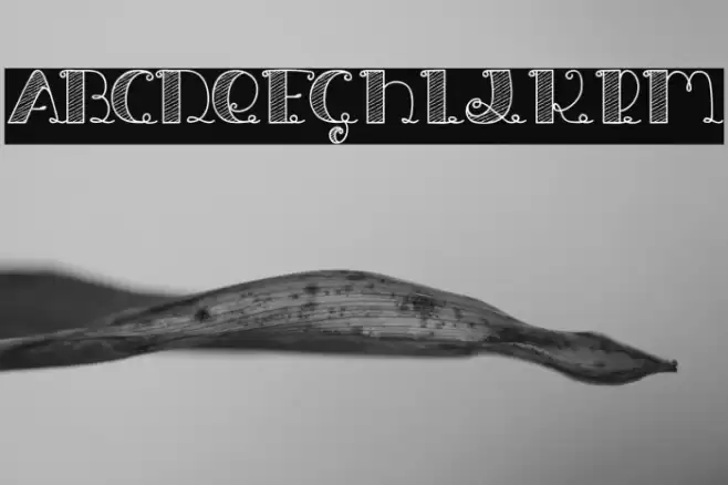 Jack and the Beanstalk フォント examples