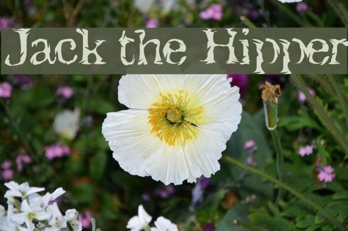 Jack the Hipper Font examples