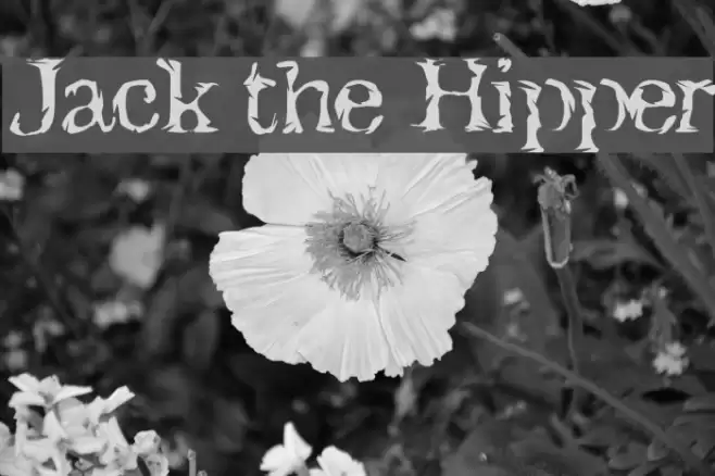 Jack the Hipper Polices examples