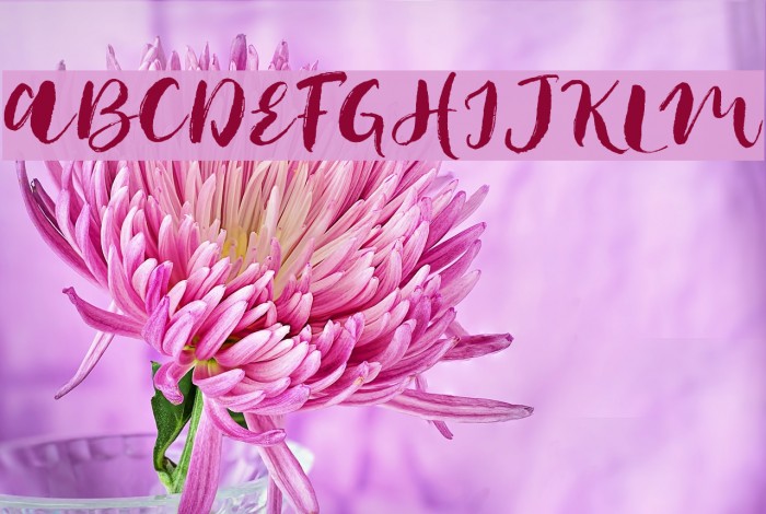 JackFrostDemo Font examples