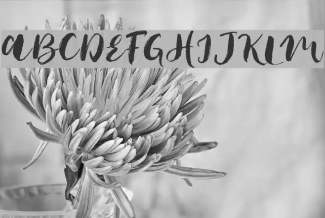 JackFrostDemo Font examples