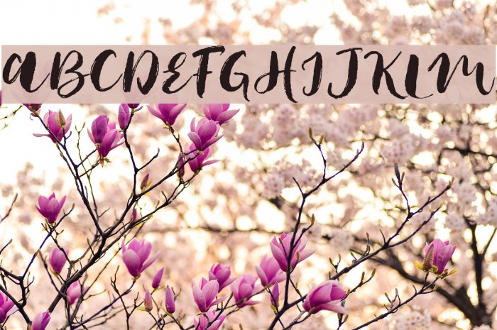 JackFrostDemo Font examples