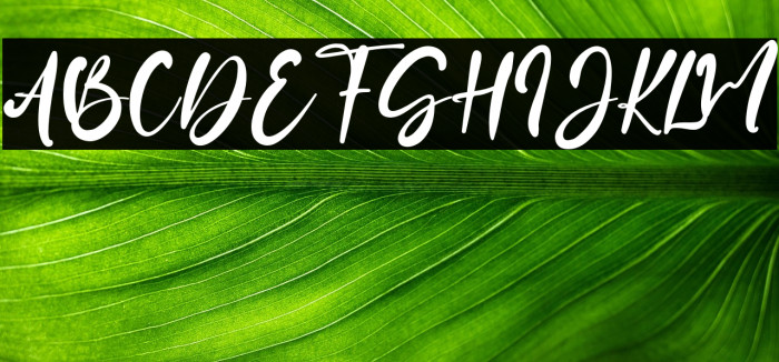 JackHammer Example 1