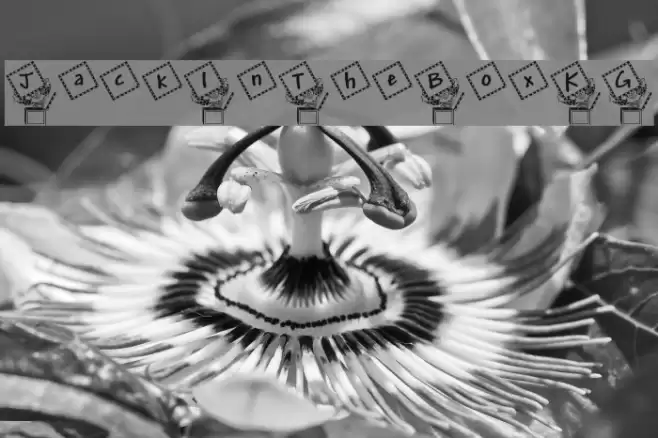 JackInTheBox_KG Font examples