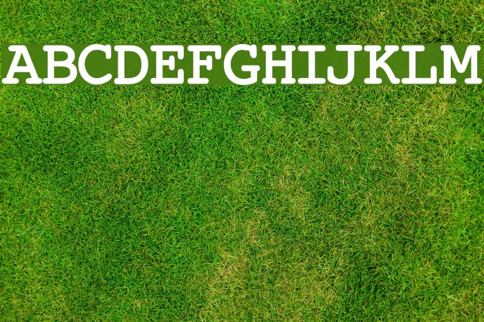 JackInput Fonte examples
