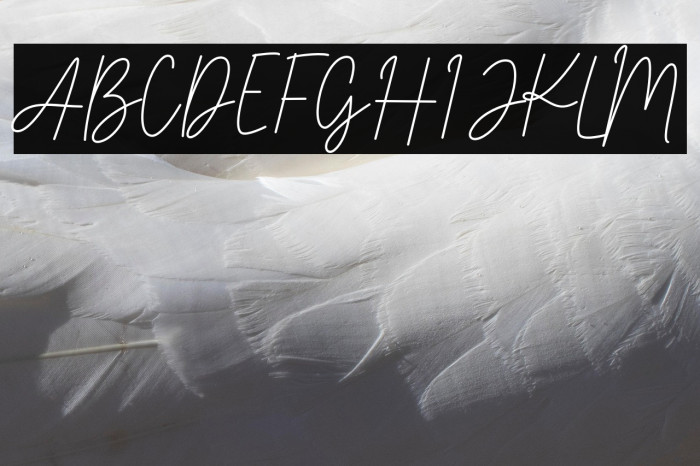 Jack&Kate_PERSONALUSE Example 1