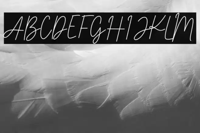 Jack&Kate_PERSONALUSE Font examples