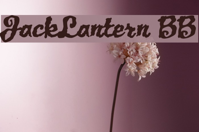 JackLantern BB Font examples