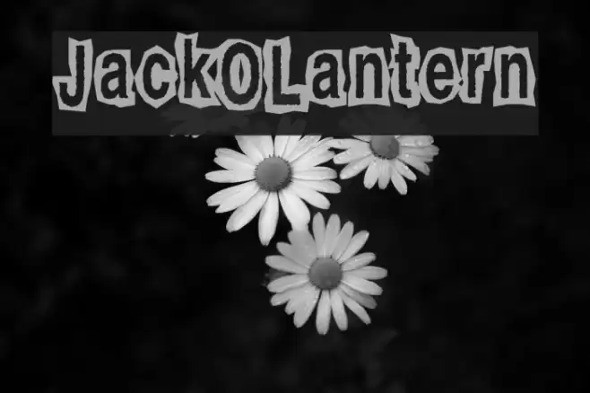 JackOLantern Font examples