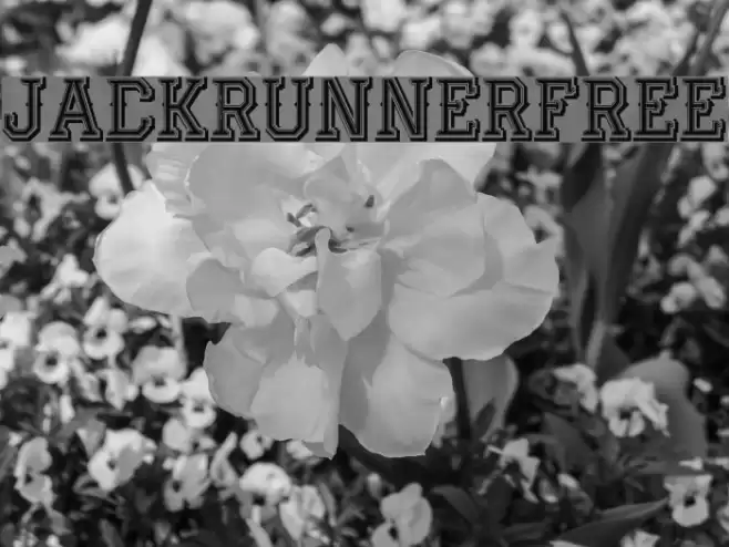 JackRunnerFree Font examples