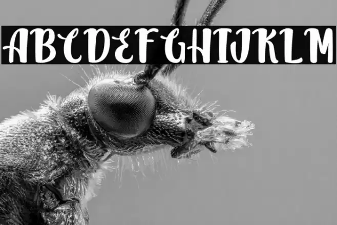 JackSimbaPersonalUse Font examples