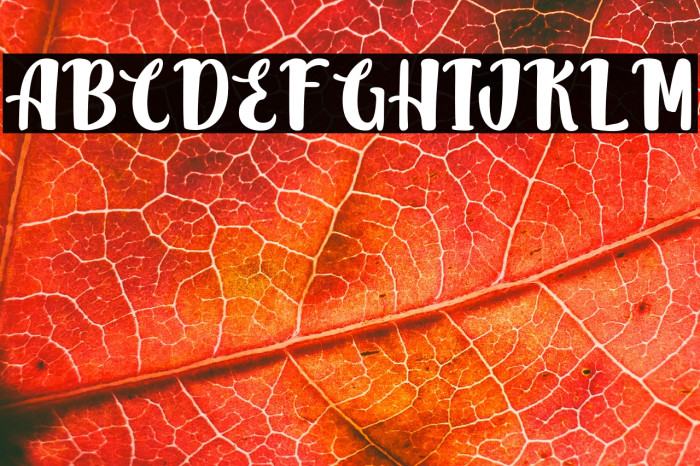 JackSimbaPersonalUse Example 3