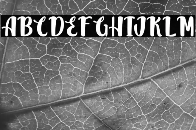 JackSimbaPersonalUse Font examples