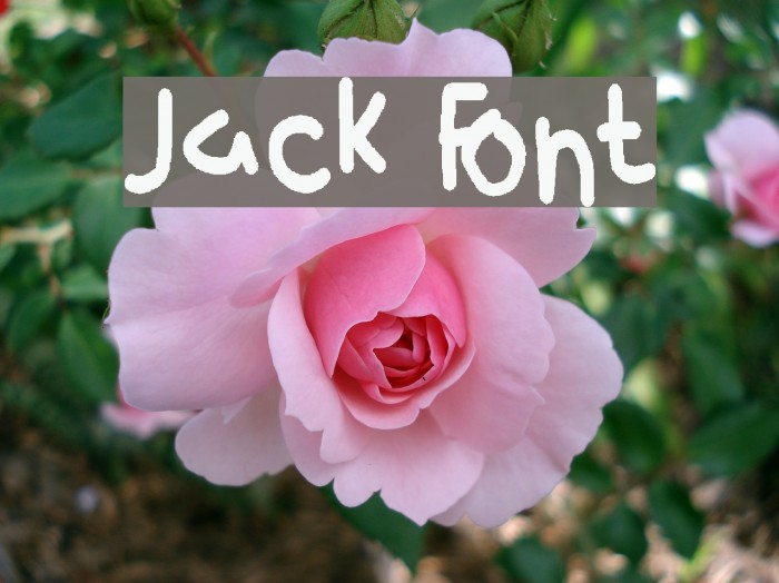 Jack Font examples