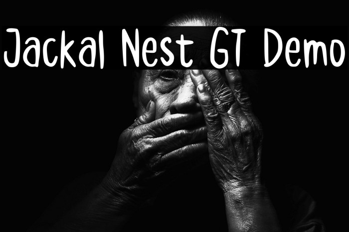 Jackal Nest GT Demo Example 1