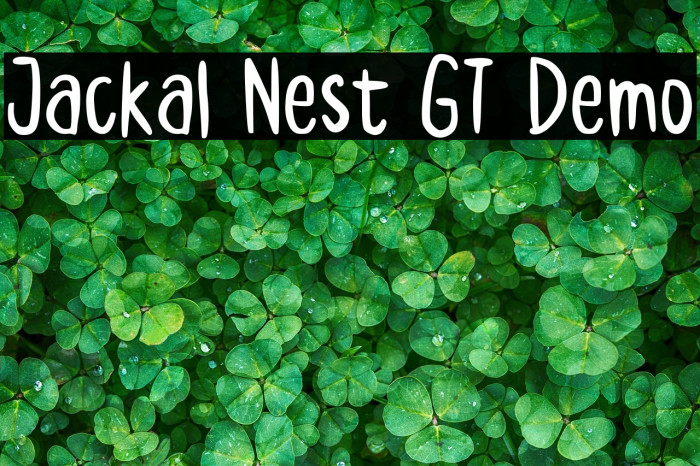 Jackal Nest GT Demo Example 3