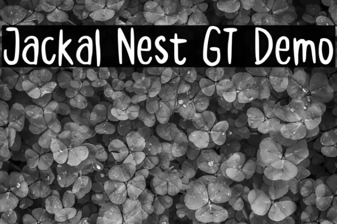 Jackal Nest GT Demo Font examples